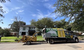 Tree Pruning