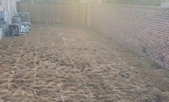 backyard-grass-installation-dallas