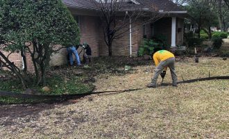 backyard-landscaping-services-dallas