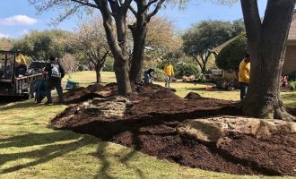 backyard-landscaping-design-dallas-tx