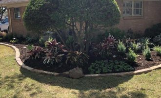 backyard-landscaping-design-dfw