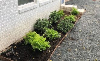 backyard-seasonal-flower-installation