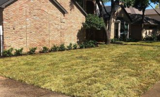 backyard-sod-grass-installation-services