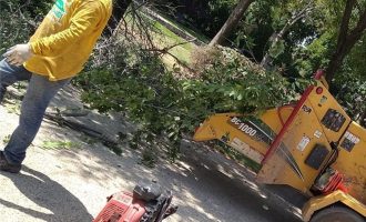 brush chipping service