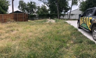 dallas backyard needs renovation