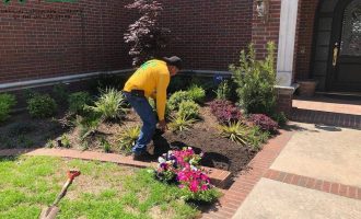 colorful-spring-plants-installation