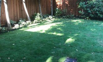 grass-installation-in-dallas