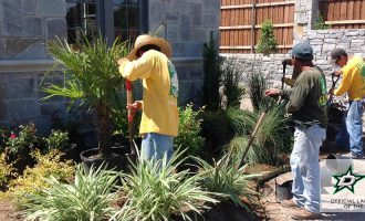 dallas outdoor landscaping service by certified professionals