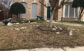 installing-stone-bed-in-dallas-residence