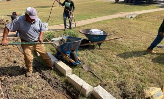 landscape and stone edging