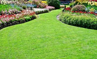 lawn care and maintenance services
