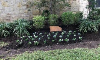 flower-bed-lawn-mulching-and-winter-color-installation-in-plano