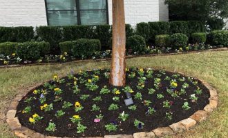 mulching-service-plano-tx