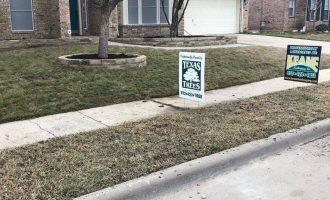 retaining-walls-and-tree-beds-installation-in-dallas