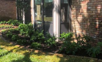 sod-installation-edging