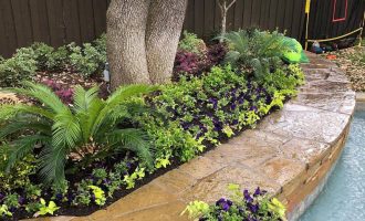 spring-garden-plants-installation-and-mulching-service