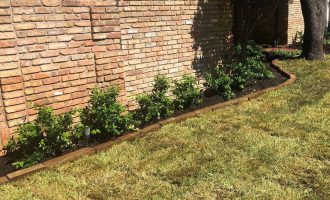 stone-edging-and-mulching (1)