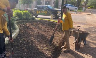 stone-edging-installation-dallas