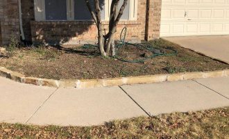 stone-tree-bed-installation