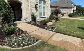 Seasonal Color Installation and Lawn Care Services