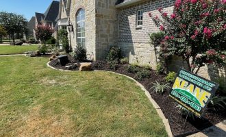 Seasonal Color Installation and Lawn Care Services