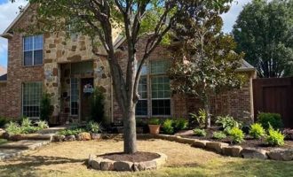 tree-bed-edging-with-boulder-stone