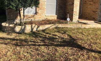 tree-bed-installation-service-in-dallas