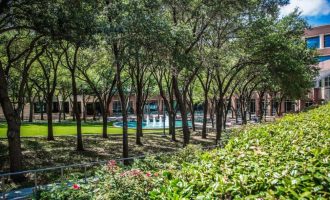 tree-removal-trimming-5