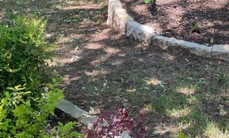 walkway-and-plant-installation