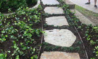 walkway-installation-and-color-plant