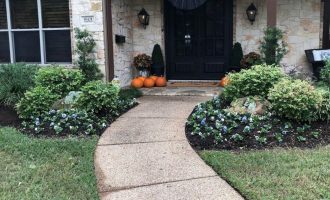 winter-color-and-mulching-in-plano