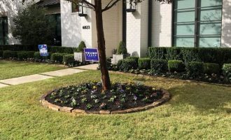 winter-color-installation-in-plano-tx